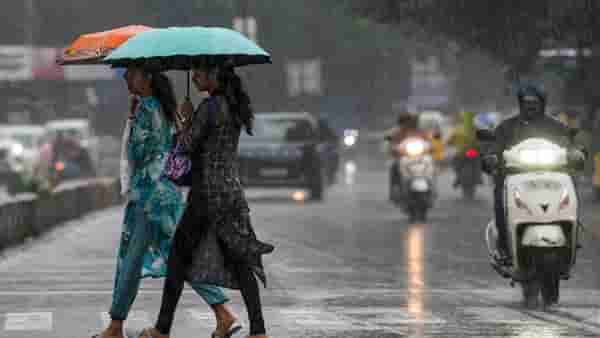 IMD Monsoon Update : पुढील 48 तास अत्यंत महत्त्वाचे; या जिल्ह्यांना पाऊस झोडपणार, हवामान विभागाकडून मोठा इशारा