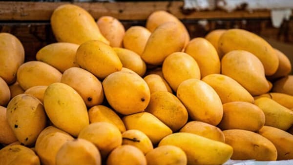 जपाननंतर नेपाळनेही घातली भारतीय आंब्यांवर बंदी? केंद्र सरकारने थेट निवेदन केल जारी, म्हटले..