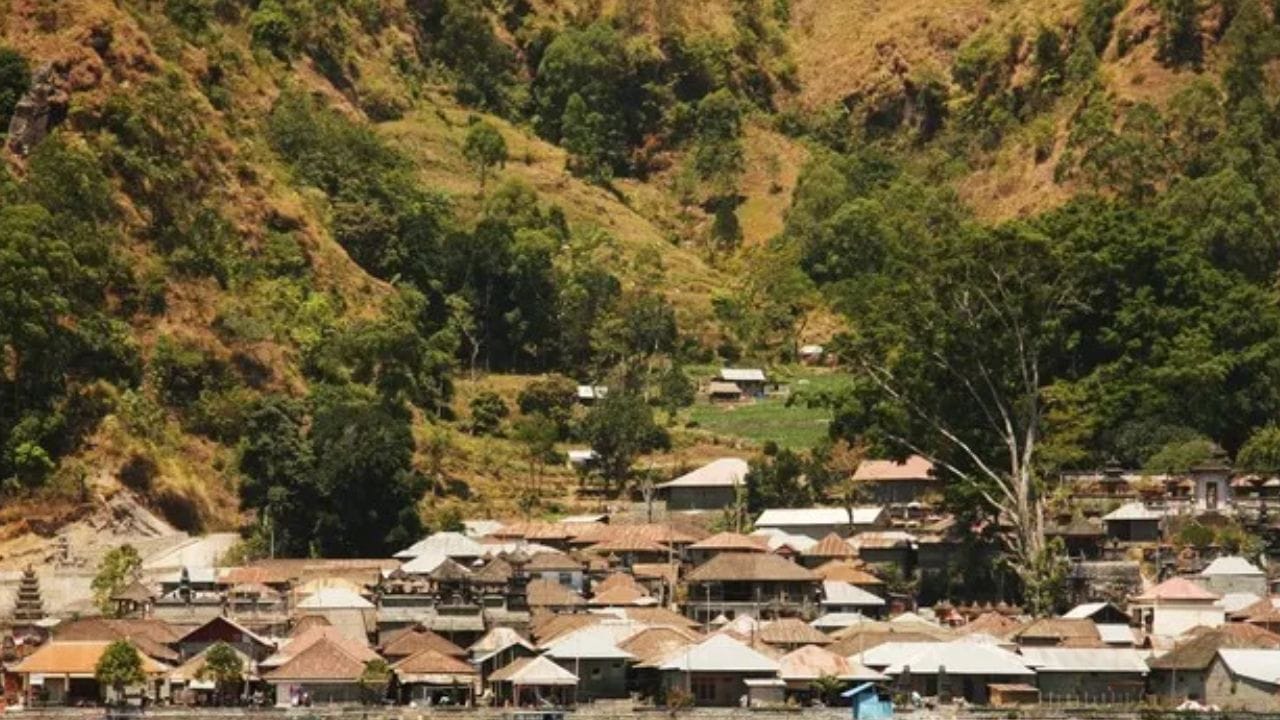 बाली आगा लोक आपली परंपरा आणि संस्कृतीच्या अत्यंत जवळ आहेत. ते आपली संस्कृती फॉलो करतात. बाली आगा लोकांमध्ये एक खूप मोठा नियम आहे.