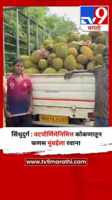 सिंधुदुर्ग : वटपौर्णिमेनिमित्त कोकणातून फणस मुंबईला रवाना-1699434