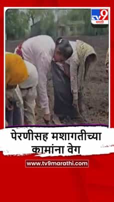 Jalgaon : पावसाच्या विश्रांतीनंतर शेतीकामांना वेग, बोली भाषेत गाणी घेत आनंद साजरा-1698826