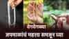 रुद्राक्ष, क्रिस्टल, तुलशी आणि कमलमणी.! या माळांवर कोणता जप केला जातो? जाणून घ्या महत्त्व