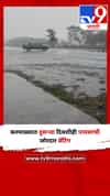 करमाळ्यात दुसऱ्या दिवशीही पावसाची जोरदार बॅटिंग