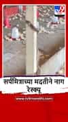 Lasalgaon : लासलगावमधील कुक्कुटपालन केंद्रात सापाची सुटका