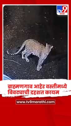 ब्राह्मणगाव आहेर वस्तीमध्ये बिबट्याची दहशत कायम ; घराच्या आवारात बिबट्याचा मुक्त संचार-1701348