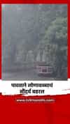 पावसाने लोणावळ्याचं सौंदर्य बहरल