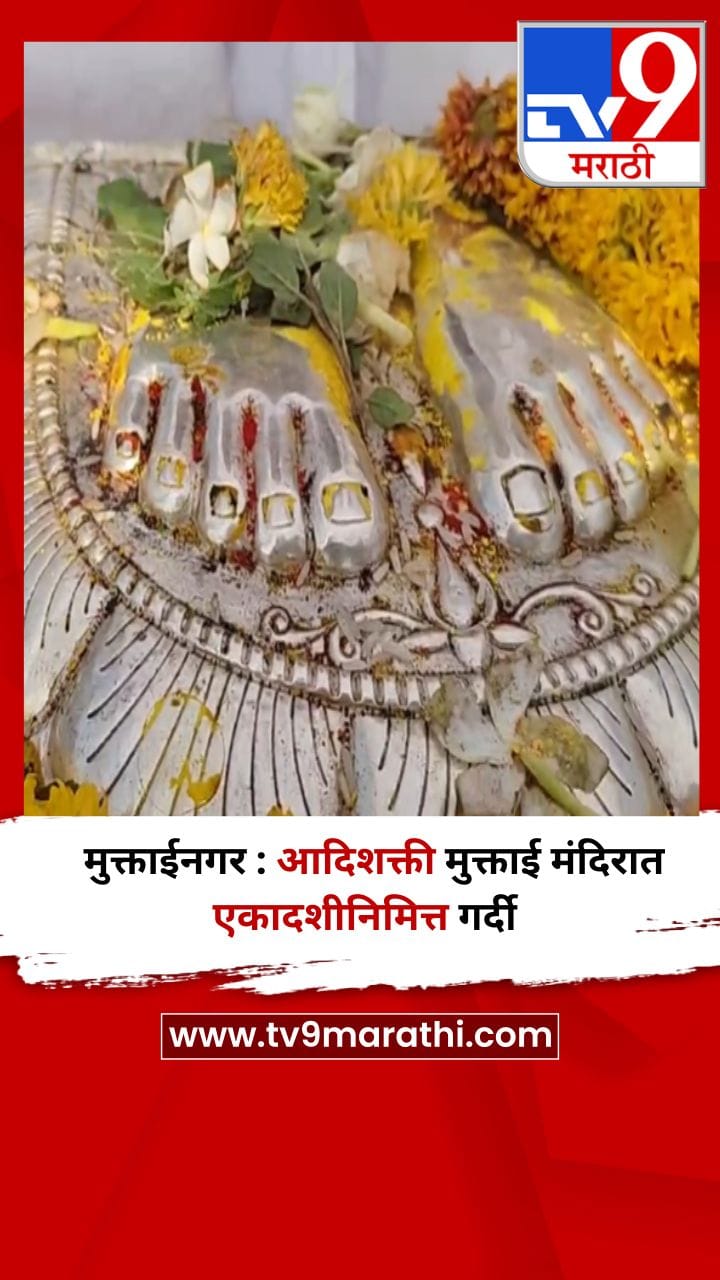 मुक्ताईनगर : आदिशक्ती मुक्ताई मंदिरात एकादशीनिमित्त गर्दी-1688598