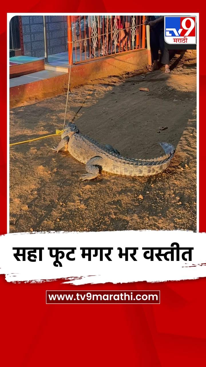 सहा फूट मगर भर वस्तीत-1692331