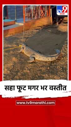सहा फूट मगर भर वस्तीत-1692331