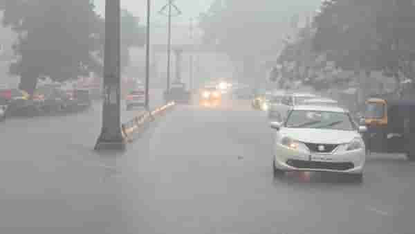 Rain : कोकणापासून विदर्भापर्यंत... पावसाने या जिल्ह्यांना झोडपलं, वीज पडून महिलेसह 22 शेळ्यांचा मृत्यू
