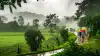 Monsoon : शेतकऱ्यांसाठी आनंदवार्ता... अखेर मान्सूनचे तळकोकणात आगमन, लवकरच अख्खा महाराष्ट्र व्यापणार