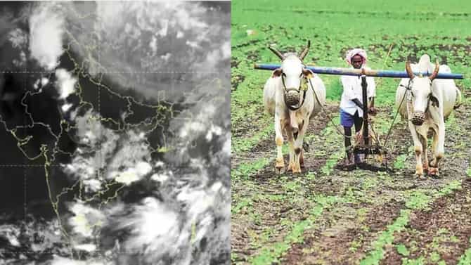 15 जूनला राज्यात धो धो पाऊस, कृषी विभागाचे शेतकऱ्यांना मोठे आवाहन, एल निनोचा..