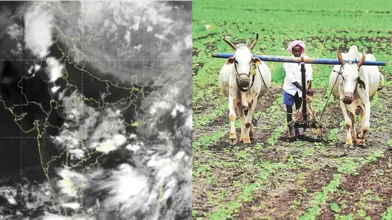 15 जूनला राज्यात धो धो पाऊस, कृषी विभागाचे शेतकऱ्यांना मोठे आवाहन, एल निनोचा.. 15 जूनला राज्यात धो धो पाऊस, कृषी विभागाचे शेतकऱ्यांना मोठे आवाहन, एल निनोचा..