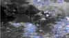 Monsoon update : राज्यावर संकट! मॉन्सूनबाबत मोठी अपडेट, या तारखेला महाराष्ट्रात मुसळधार पावसाची शक्यता..