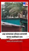 अन्न पाण्याच्या शोधात वानरांची मानव वस्तीकडे धाव