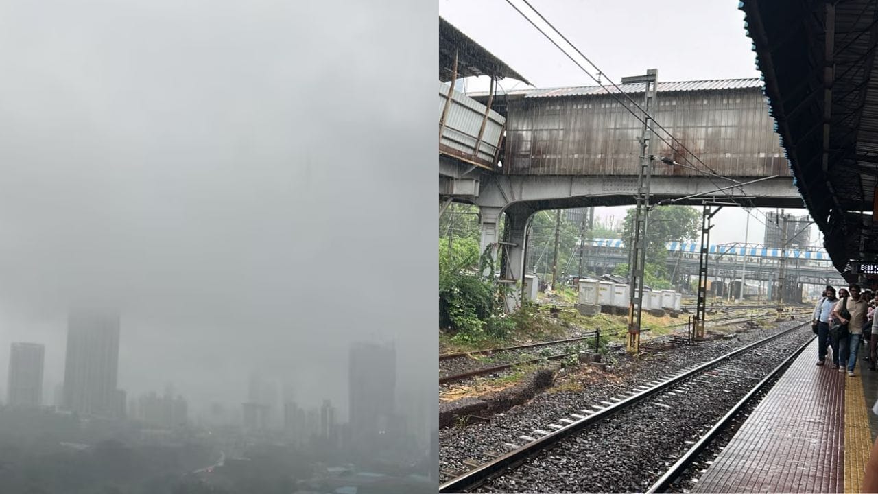 Mumbai Weather : मुंबईत धो धो पाऊस, मोठा इशारा, पुढील 3 तास धोक्याची, थेट.. Mumbai Weather : मुंबईत धो धो पाऊस, मोठा इशारा, पुढील 3 तास धोक्याची, थेट..