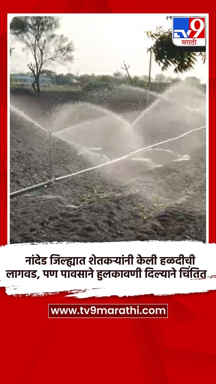 नांदेड जिल्ह्यात शेतकऱ्यांनी केली हळदीची लागवड, पण पावसाने हुलकावणी दिल्याने चिंतित-1688489
