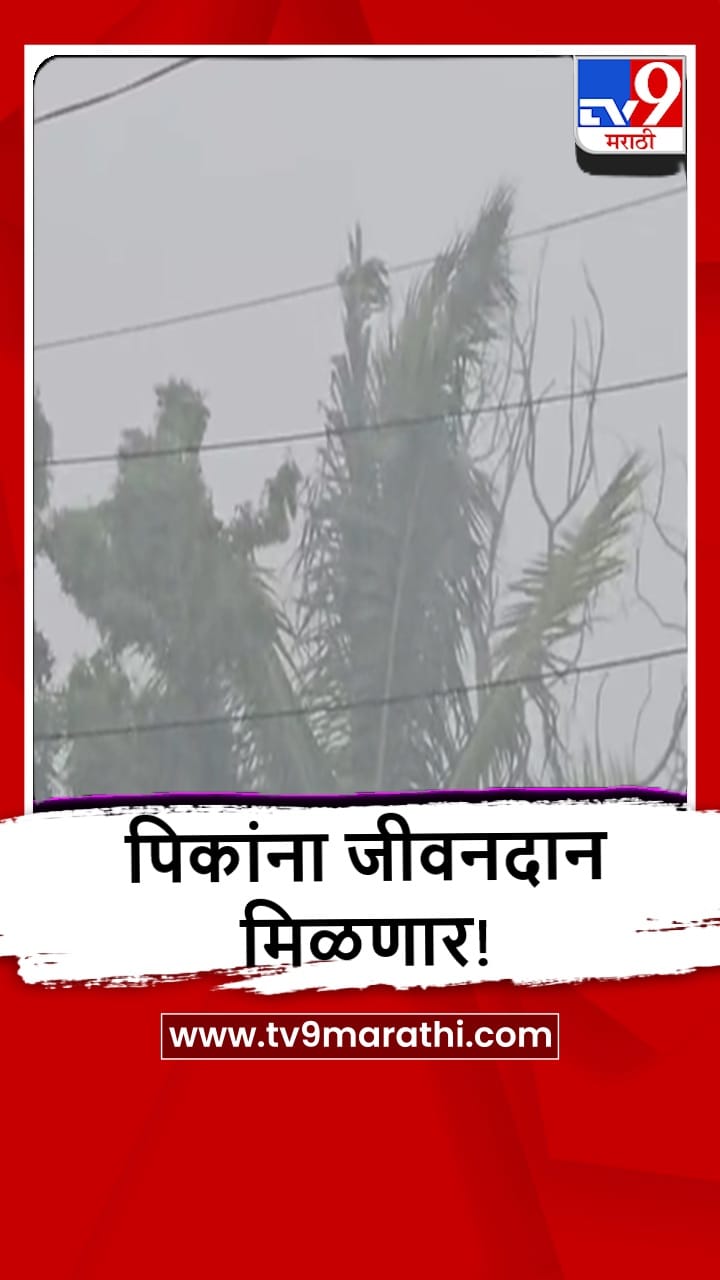 Nandurbar : सातपुड्याच्या धडगाव परिसरात पावसाची हजेरी, जोरदार बॅटिंग-1693356
