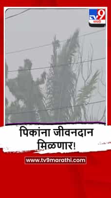 Nandurbar : सातपुड्याच्या धडगाव परिसरात पावसाची हजेरी, जोरदार बॅटिंग-1693356