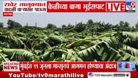 रावेरमध्ये गारपिटीचा कहर! वादळी वाऱ्याने केळीबागा जमीनदोस्त-1683789