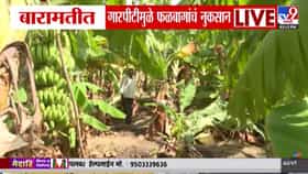 गारपीटीमुळे फळबागांचं नुकसान; पंचनामे करून मदत द्या, शेतकऱ्यांची....-1684531