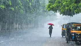 राज्यात मान्सूनची दमदार एंट्री!; या जिल्ह्यांना मुसळधार पावसाचा इशारा-1686548