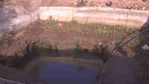 Solapur | काळाचा घाला! 15 प्रवाशांची कार विहिरीत; अन् पुढे जे झालं…..