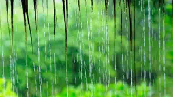 Rain Update | महाराष्ट्रात मान्सूनची संथ वाटचाल; 24 जूननंतर कोकणात पावसाचा जोर वाढण्याची शक्यता
