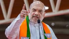 शिंदे गट नाही, आता एकच शिवसेना!; अमित शाहांच्या विधानाने चर्चांना उधाण-1694451