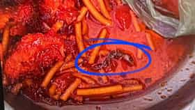 मंचुरियनमध्ये आढळली पाल, तरुणीची तब्येत बिघडली...