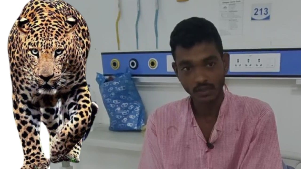 काळ आला होता, पण बापमध्ये आला..लेकीसाठी बापाने बिबट्याशी दोन हात केले काळ आला होता, पण बापमध्ये आला..लेकीसाठी बापाने बिबट्याशी दोन हात केले