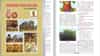 बालभारतीच्या सहावीच्या पुस्तकावरुन वाद ! वर्ण व्यवस्था आणि मांसाहाराचा उल्लेख वगळला ?