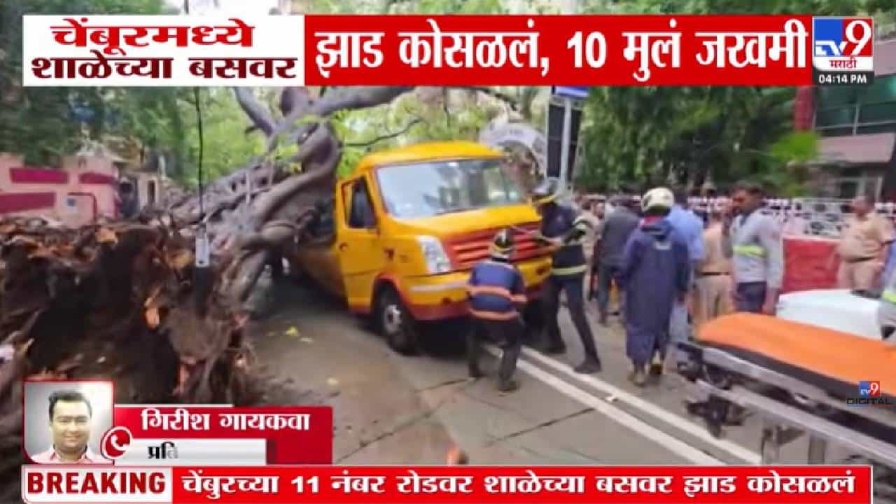 मुंबईत भीषण दुर्घटना! शाळेच्या बसवर भलेमोठं झाड कोसळलं; अनेक विद्यार्थी जखमी, बचावकार्य युद्धपातळीवर सुरू