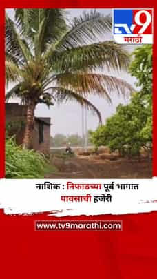 नाशिक : निफाडच्या पूर्व भागात पावसाची हजेरी-1694675