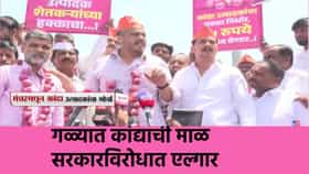 गळ्यात कांद्याची माळ, सरकारविरोधात एल्गार... रोहित पवारांचा इशारा काय?