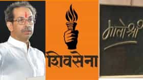 4 खासदारांनी उद्धव ठाकरेंचं वाढवलं टेन्शन... ऑपरेशन टायगर यशस्वी?.