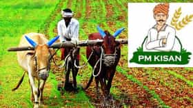 PM Kisan Yojana: बळीराजाच्या खात्यात आज जमा होणार 23 वा हप्ता!.