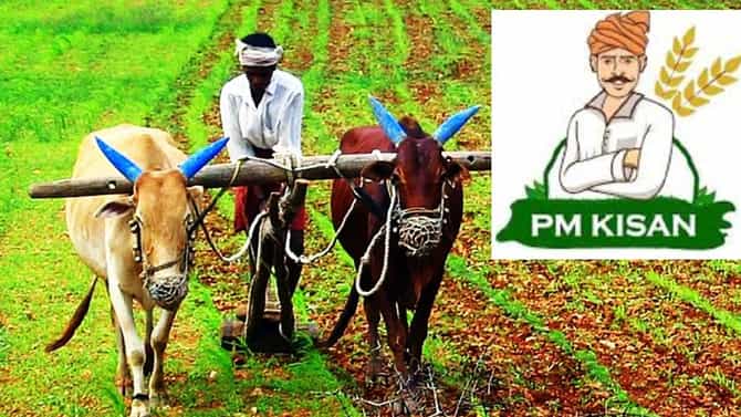 PM Kisan Yojana: आनंदवार्ता, बळीराजाच्या खात्यात आज जमा होणार 23 वा हप्ता! 31 कोटी 44 लाख लाखो शेतकऱ्यांच्या खात्यात