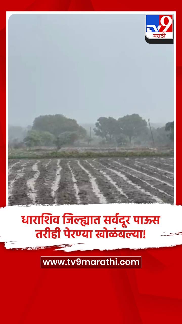 धाराशिव जिल्ह्यात सर्वदूर पाऊस, तरीही पेरण्या खोळंबल्या!-1700576