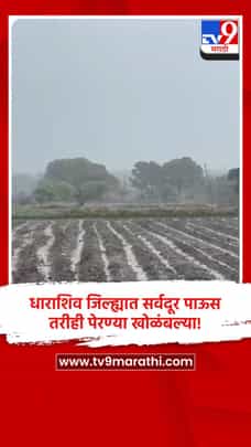 धाराशिव जिल्ह्यात सर्वदूर पाऊस, तरीही पेरण्या खोळंबल्या!-1700576
