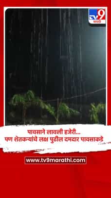 पावसाने लावली हजेरी... पण शेतकऱ्यांचे लक्ष पुढील दमदार पावसाकडे-1696153