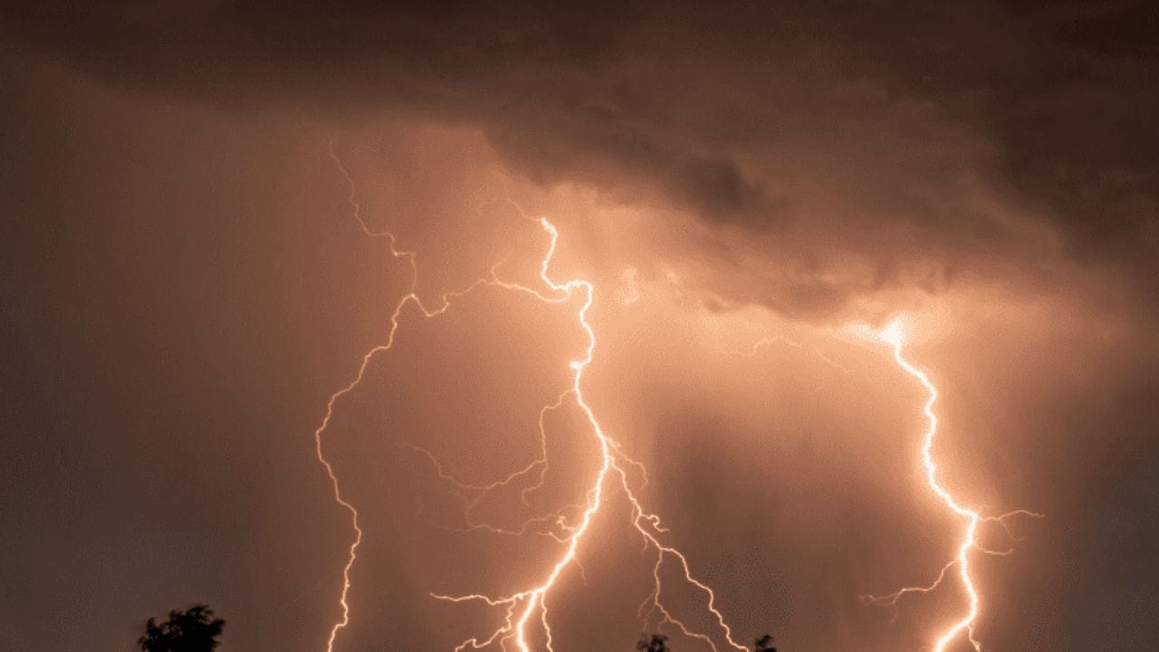 हिमाचल प्रदेश, जम्मू काश्मीर, हरियाणा, चंदीगढ, तेलंगणा, आंध्र प्रदेश, ओडिशा, महाराष्ट्र, या राज्यात मॉन्सूनला अनुकूल वातावरण आहे. ईशान्य आणि मध्य भारतात मान्सूनने जोरदार आगमन केले असून,मुसळधार पावसाने अनेक भागांमध्ये हाहाकार माजवला आहे.