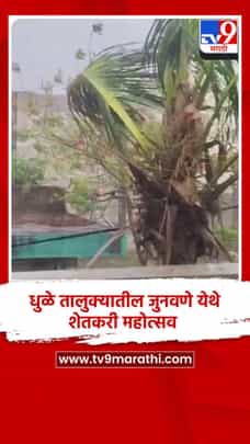 बुलढाणा जिल्ह्यातील शेगाव शहरासह परिसरात वादळी पावसाची जोरदार हजेरी-1685231
