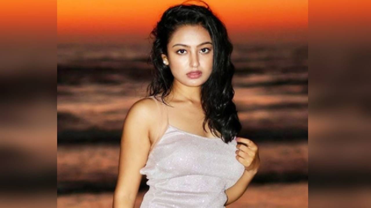 संचिता गेल्या काही दिवसांपासून डिप्रेशनशी झुंज देत होती आणि वारंवार आत्महत्या करण्याविषयी बोलत होती असे मेघाने सांगितले. एका जुन्या मुलाखतीत संचिताने इंडस्ट्रीत आल्यानंतरच्या आपल्या संघर्षाबद्दलही सांगितले.