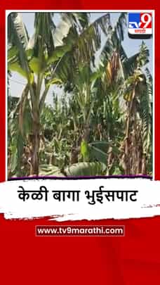 Sangli : वादळ वाऱ्यामुळे खानापुरातील केळी बागांचं नुकसान, शेतकऱ्यांना मोठा फटका-1682144