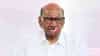 Sharad Pawar : ऑपरेशन टायगरमुळे शरद पवार गटाचे धाबे दणाणले, लगेच उचललं महत्वाचं पाऊल