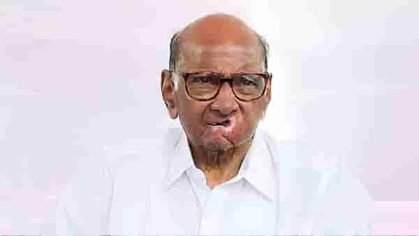 Sharad Pawar : ऑपरेशन टायगरमुळे शरद पवार गटाचे धाबे दणाणले, लगेच उचललं महत्वाचं पाऊल