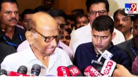 Sharad Pawar: तर सत्ताधाऱ्यांना किंमत मोजावी लागेल....