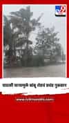 वादळी वाऱ्यामुळे बांबू शेडचं प्रचंड नुकसान.