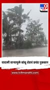 वादळी वाऱ्यामुळे बांबू शेडचं प्रचंड नुकसान.